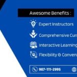 Unlocking Fluency: The Top 10 French Language Course Institutes in Rohini
