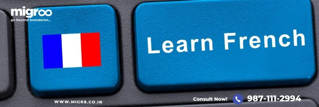Exploring the Top 10 French Language Course Institutes in Rohini